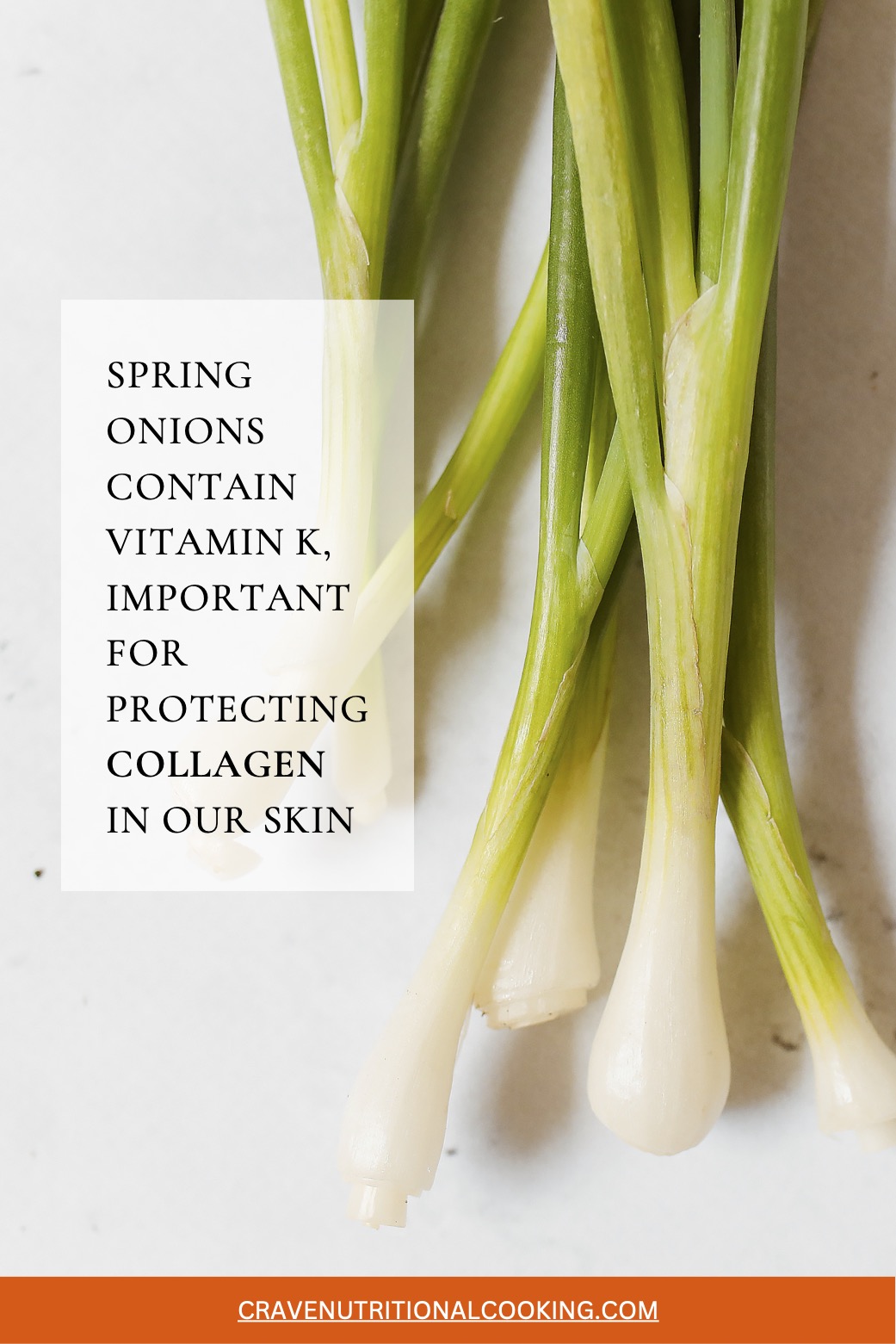 spring-onion-vitamin-K-collagen