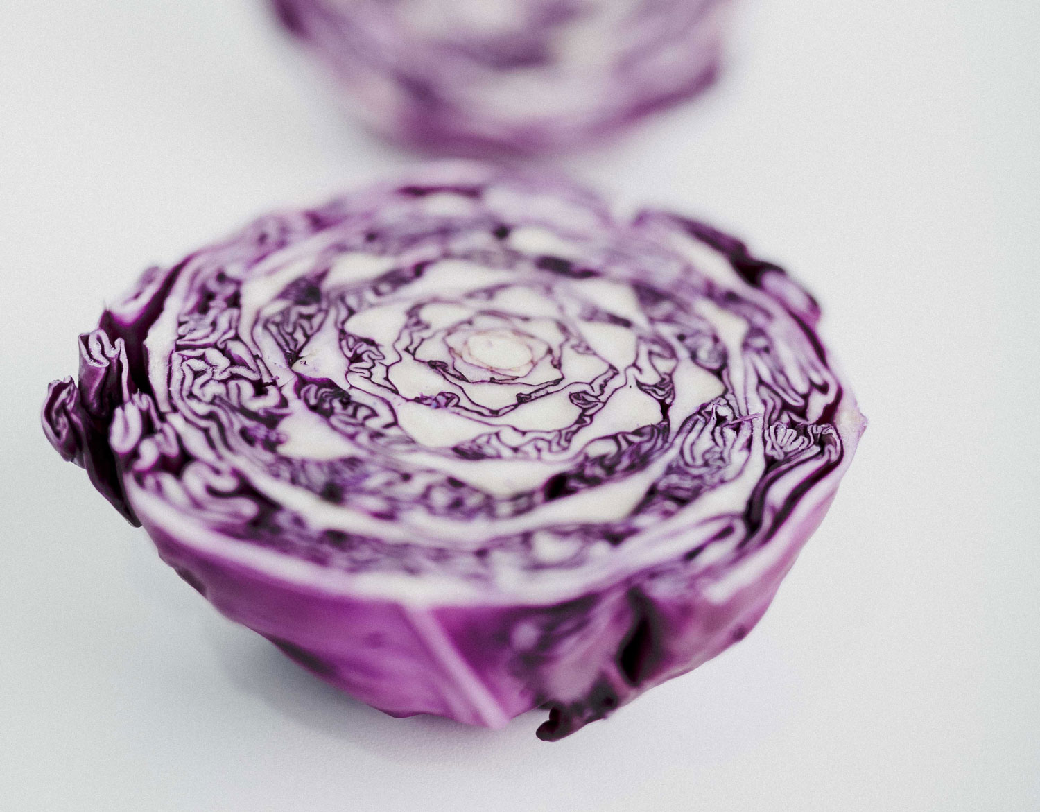 red cabbage reduces chronic inflammation