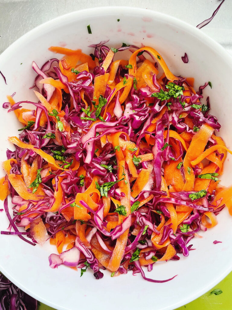 Slaw Recipe – Red Cabbage and Carrot