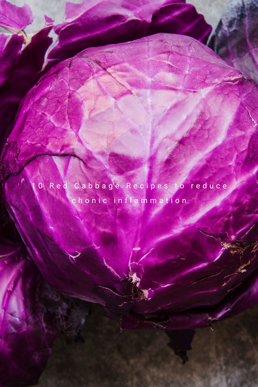 raw red cabbage head with text displaying the wrods 10 red cabbage recipes to reduce chronic inflammation