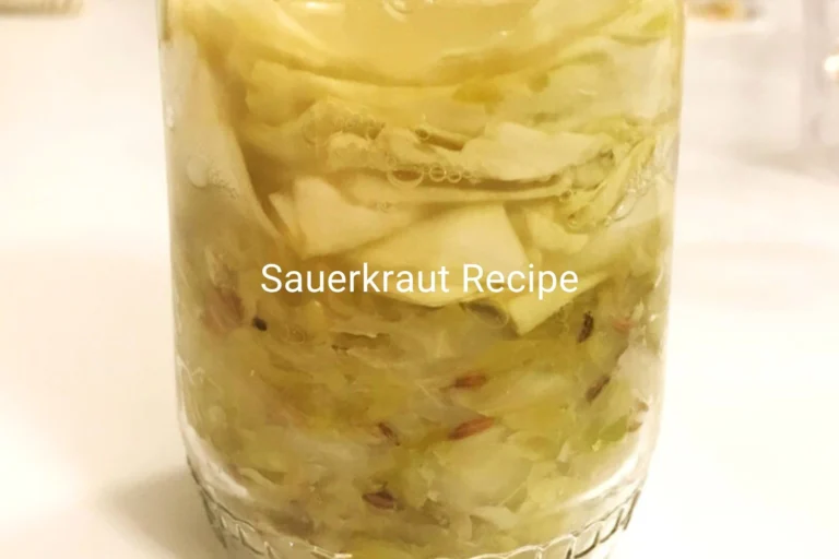 sauerkraut making or preparation recipe, green cabbage in open glass jar, completely fermented